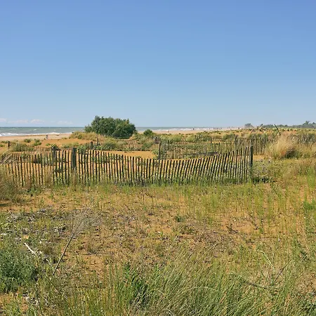 Peaceful With Garden Surrounded By Nature *